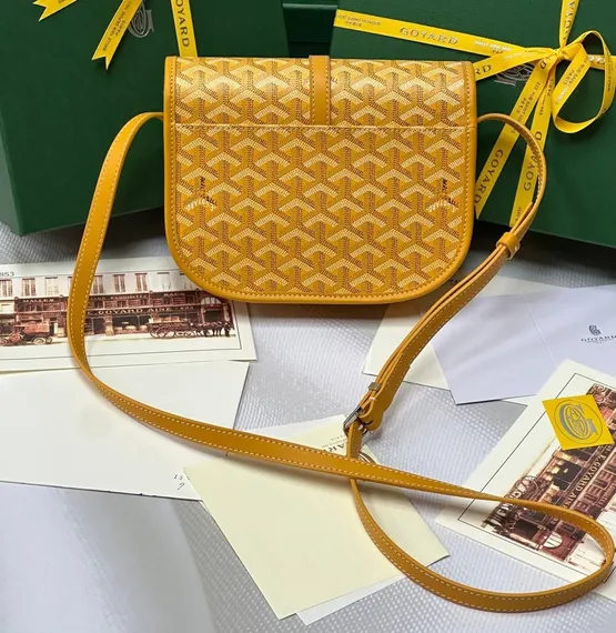 Сумка GOYARD Belvedere MM