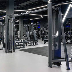 E7016 Кроссовер с изменением высоты. Стек 2x110 кг