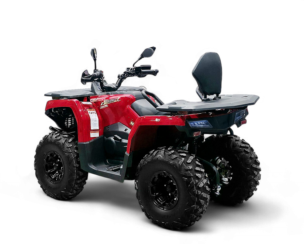 Квадрицикл Bizon YK250 LUX EFI ПТС