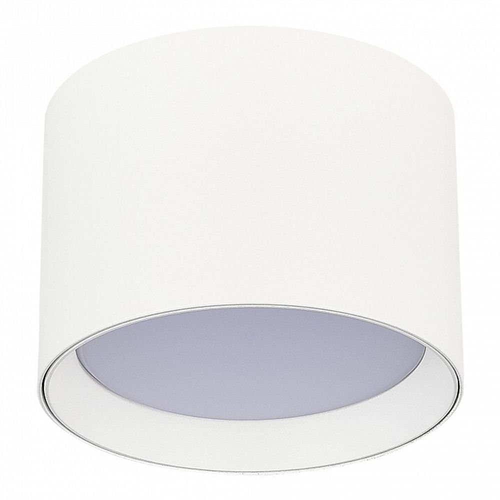 Накладной светильник ST-Luce  ST163.502.01.02