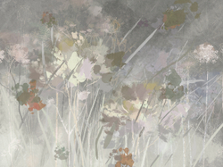 Коллекция ALTAY