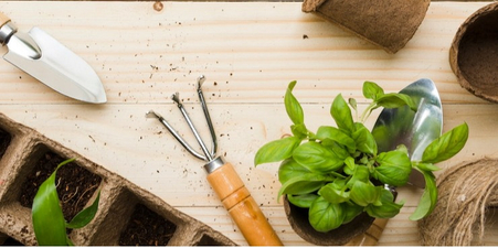 Сопутствующие товары