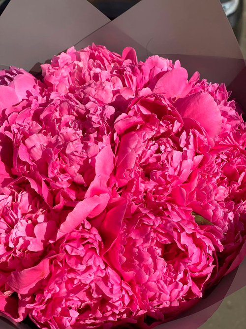 Пионы серый крафт