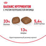 Royal Canin Urinary Care Корм сухой для взрослых кошек для поддержания здоровья мочевыделительной системы 4 кг