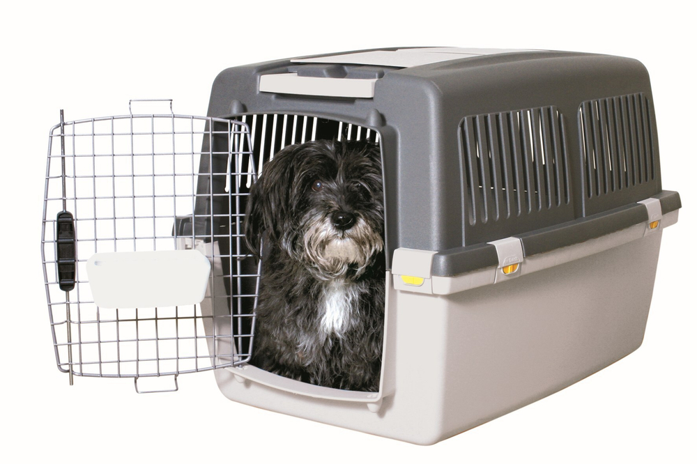 Транспортный бокс Gulliver 4, S–M: 52 x 51 x 72 см, светло-серый/тёмно-серый, до 18 кг, Trixie