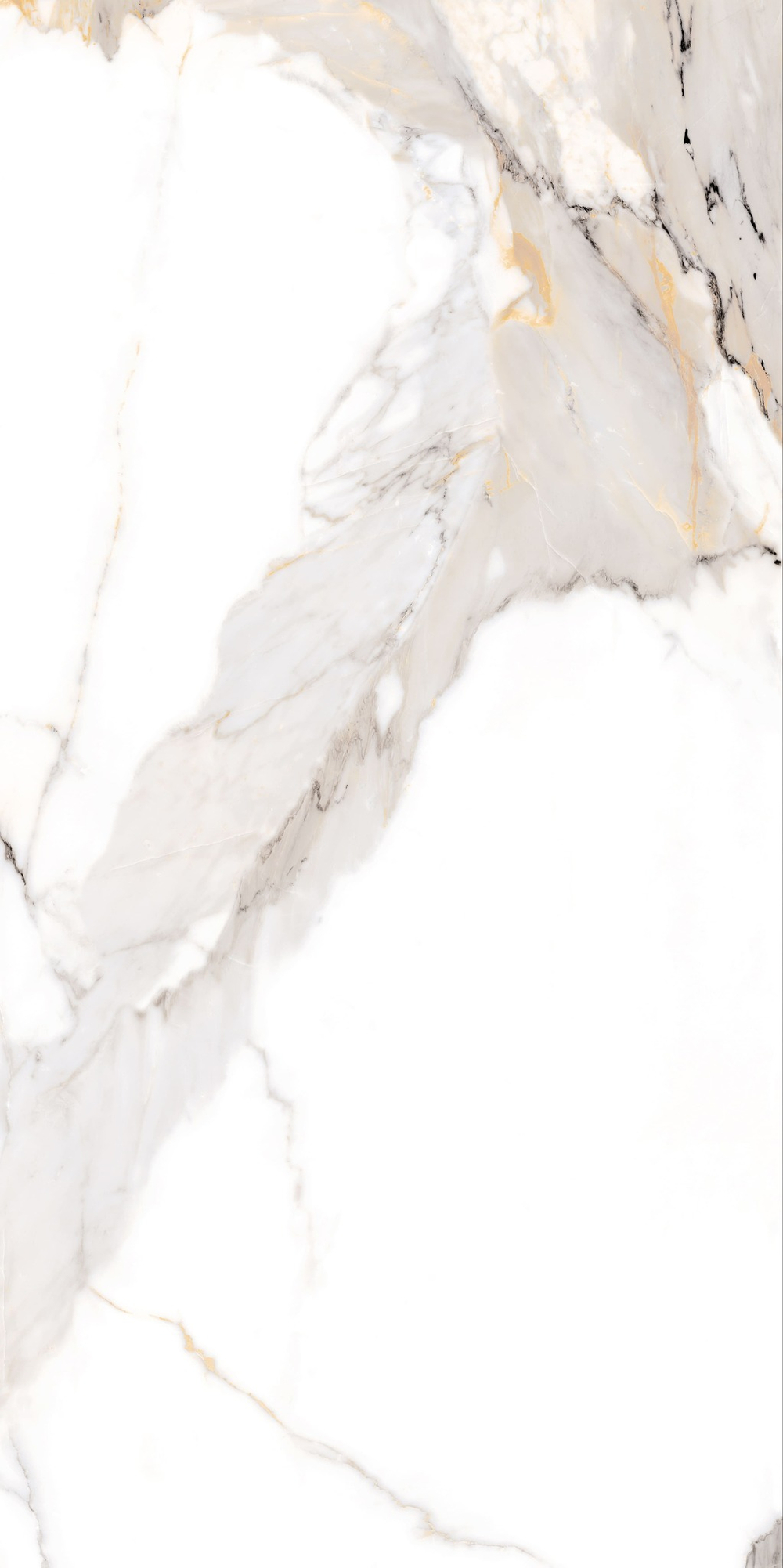 NT Ceramic Bright And Shiny NTT9121 Calacatta Light Grey 60x120