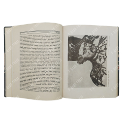 [Подшивка журнала] Аполлон. № 1-10 в 3-х книгах, 1916.