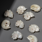 Подвеска из натуральной ракушки, 33,5*23,5мм