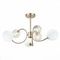 Потолочная люстра Evoluce Formae SLE220922-06