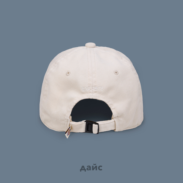 Кепка Dickies Chase City Cap артикул:DK0A4YPJF901 - купить в магазине Дайс