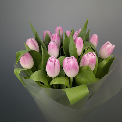 Букет из 15 Розовых Тюльпанов