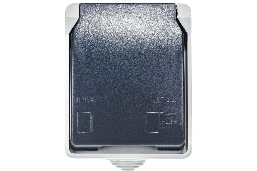 Розетка 2-местная для открытой установки РСб22-3-ФСр с заземлением ФОРС IP54 IEK