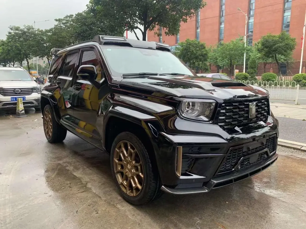 Карбоновый обвес для TANK 700 2024+ Танк декоративный обвес