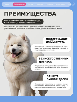 Корм сухой для взрослых собак породы Самоед, премиум полнорационный комплекс, с говядиной, 12 кг, QUATTRO