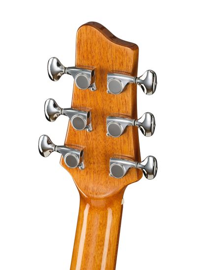 Акустическая гитара IZ S-S8-GA-N