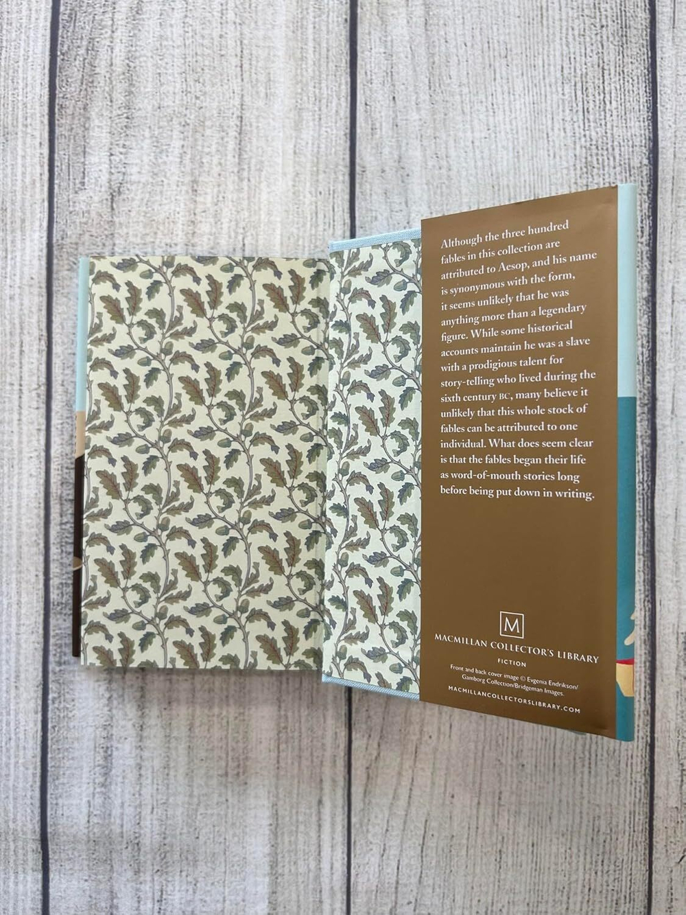 Aesops Fables (Macmillan Collector's Library) Hardcover