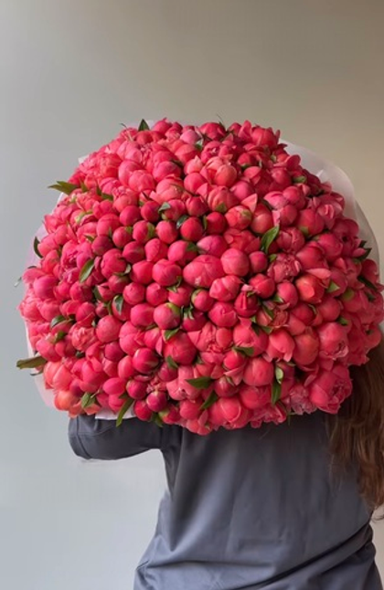 201 пион корал