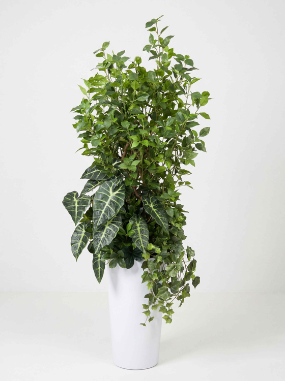 Искусственный бересклет с алоказией в высоком белом кашпо