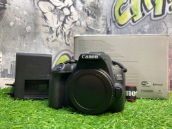Canon EOS 250D (13.000 кадров) Покупка/Продажа
