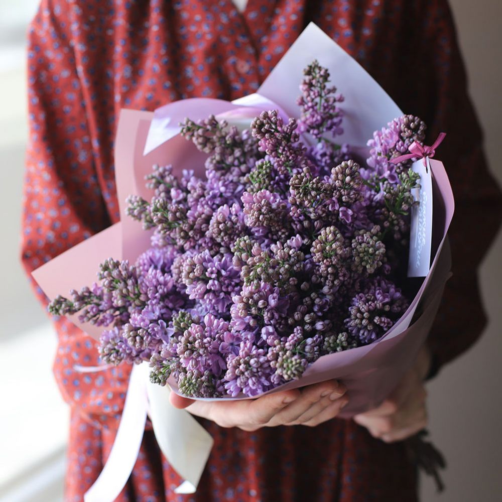 Лиловое облако