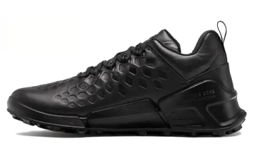 Ecco Biom 2 1 X Country