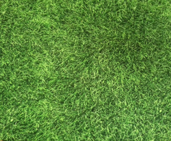 Микровелюр Xpoint (Икспоинт) 0053.01 Сочная трава