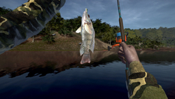 Ultimate Fishing Simulator - Kariba Dam (для ПК, цифровой код доступа)