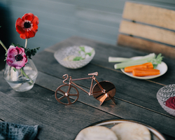 Нож для пиццы из нержавеющей стали the fixie, медный