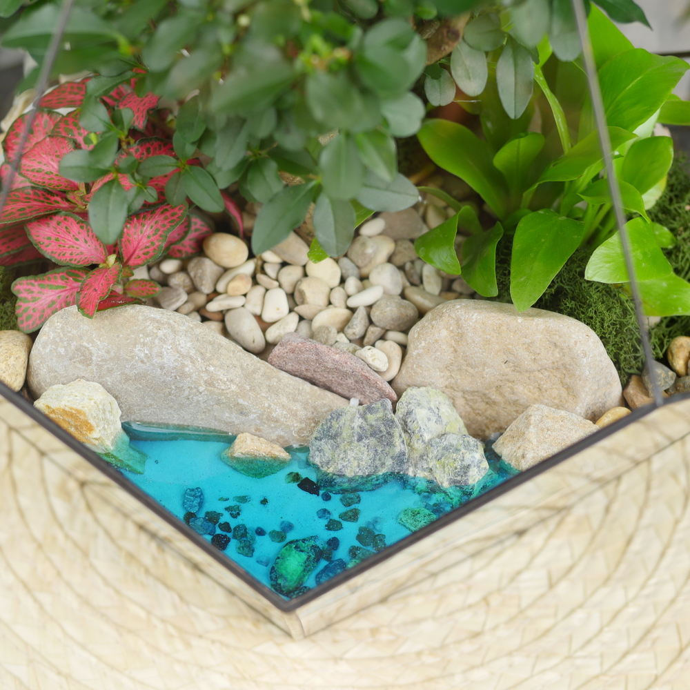 Готовый флорариум с бонсай Капля с озером