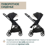 Коляска Chicco Seety 2 в 1 Etna Black