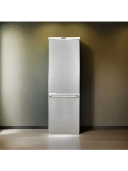 Холодильник R-291 NG