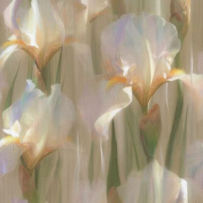 нежные цветы, ирис, лучизм, свет изнутри, поле