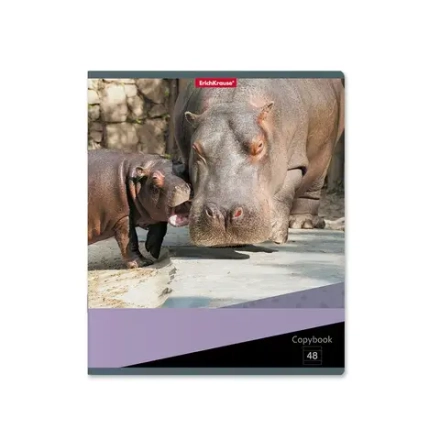 Тетрадь общая 48 листов в клетку ErichKrause Hippopotamus 47528