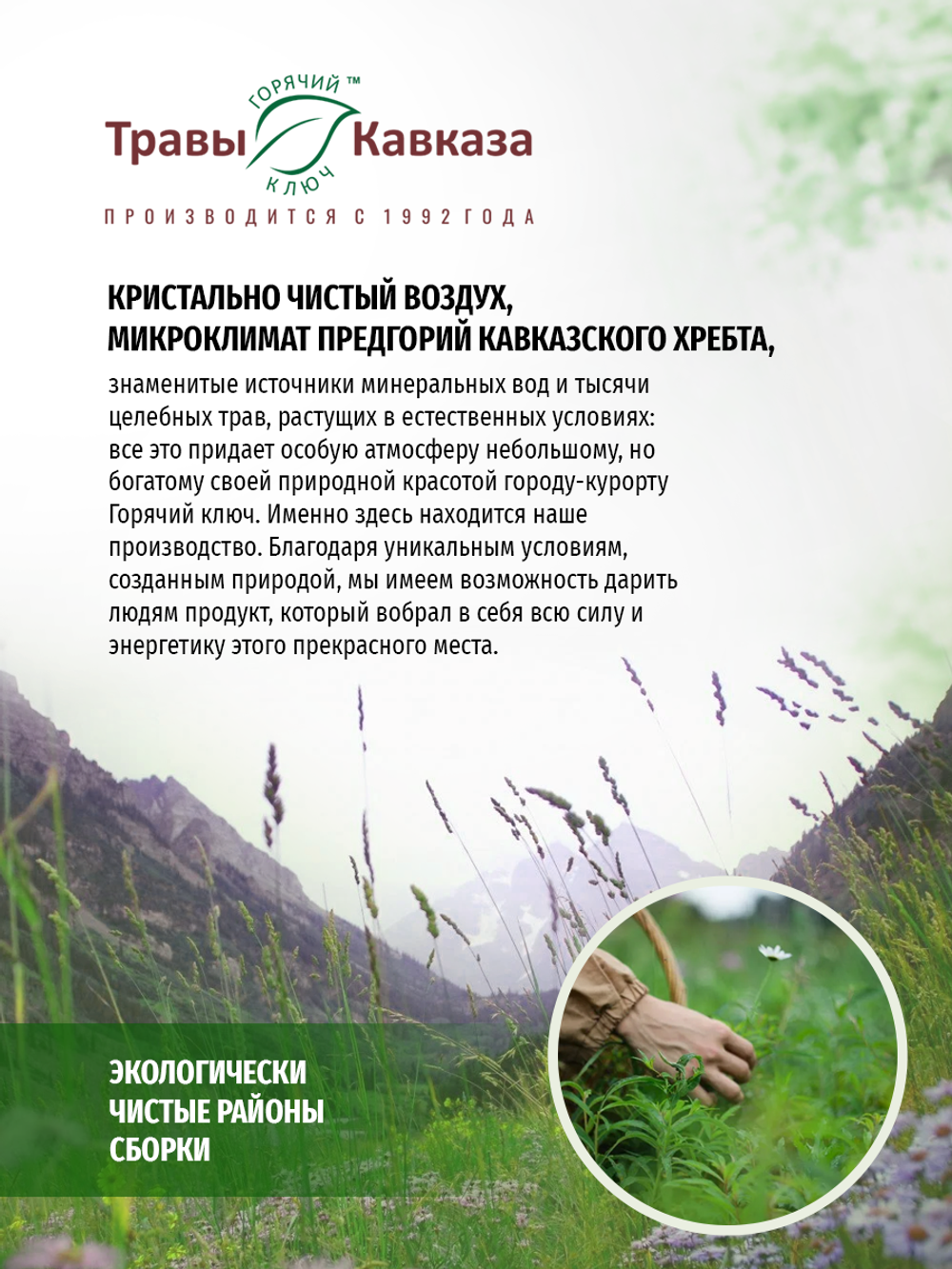 Сбор № 34 при ночном недержании мочи (энурезе)
