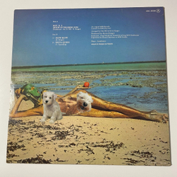 Винтажная виниловая пластинка LP HOT R.S. House Of The Rising Sun (Франция 1977)