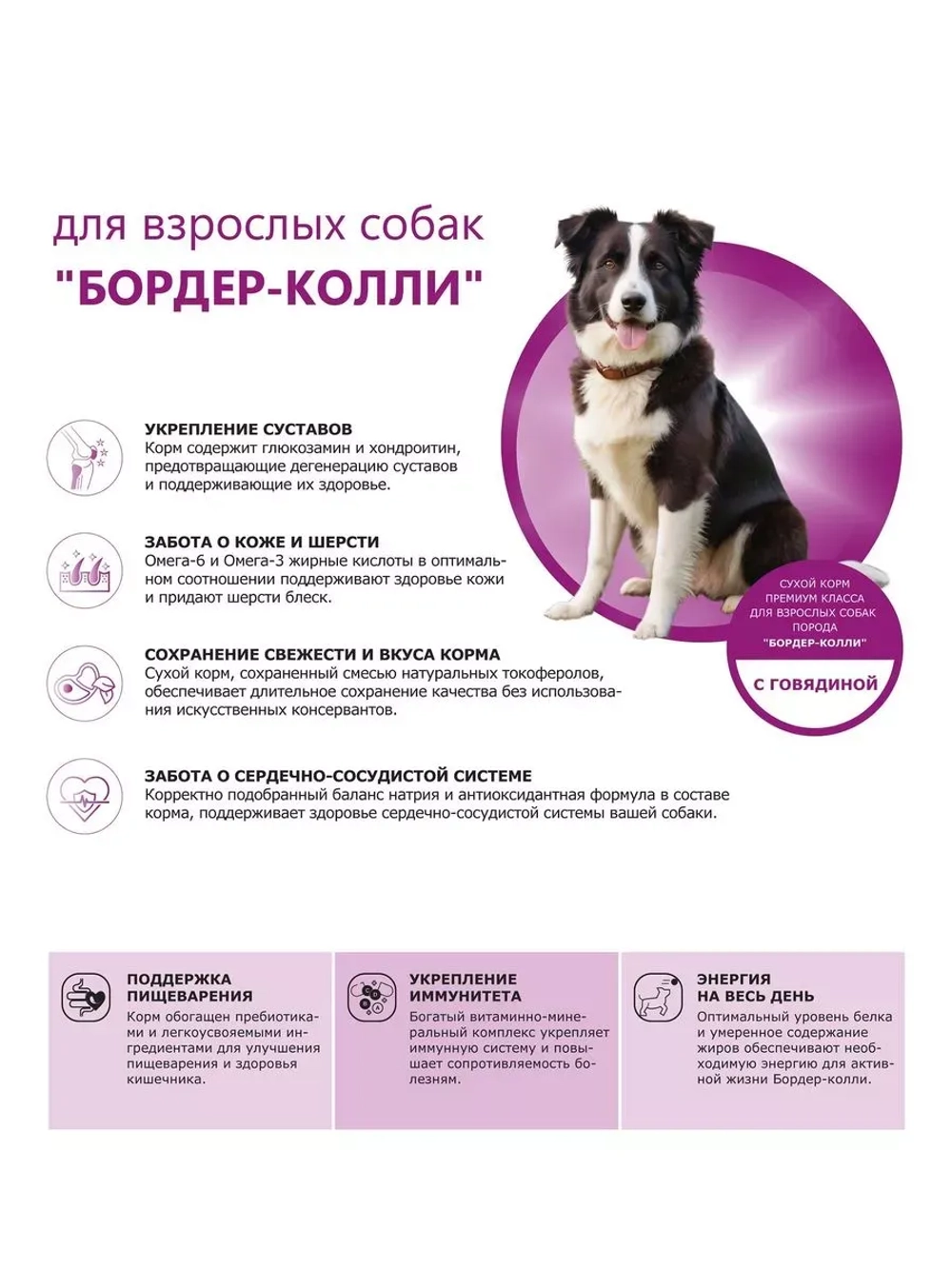 Сухой корм для собак породы Бордер-колли, с говядиной, 12 кг