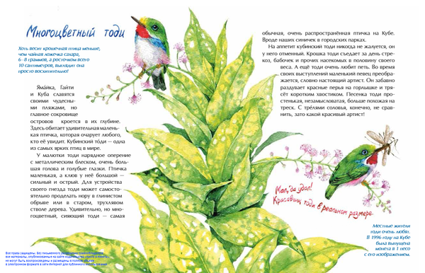 Птички-невелички. Кто на свете меньше всех?