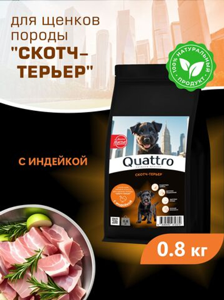 Корм сухой для щенков породы Скотч-терьер, с индейкой, 800 гр, QUATTRO