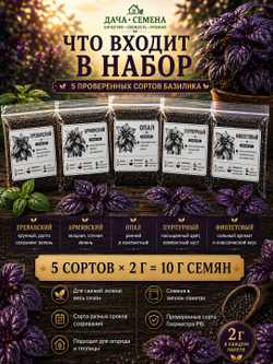 Набор семян базилика - Ереванский, Армянский, Опал, Пурпурный и Фиолетовый
