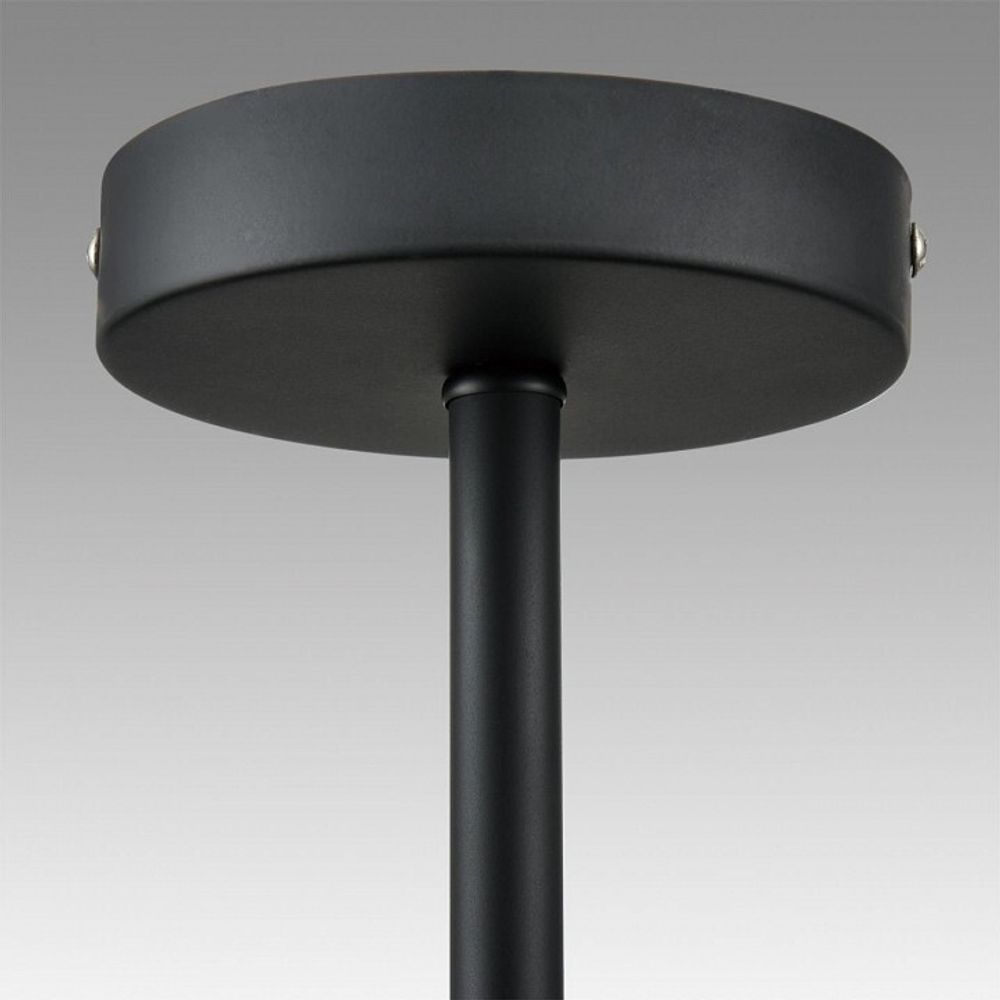 Люстра на штанге Lumion CAMILIE 8060/6C