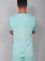 Мужская футболка RS Performance Tee Ace Blue/Clay (211M000313/441)
