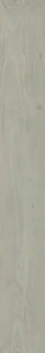 WONDEFUL LIFE ASH (ВАНДЕФУЛ ЛАЙФ АШ) 1600*200 керамогранит, натуральный