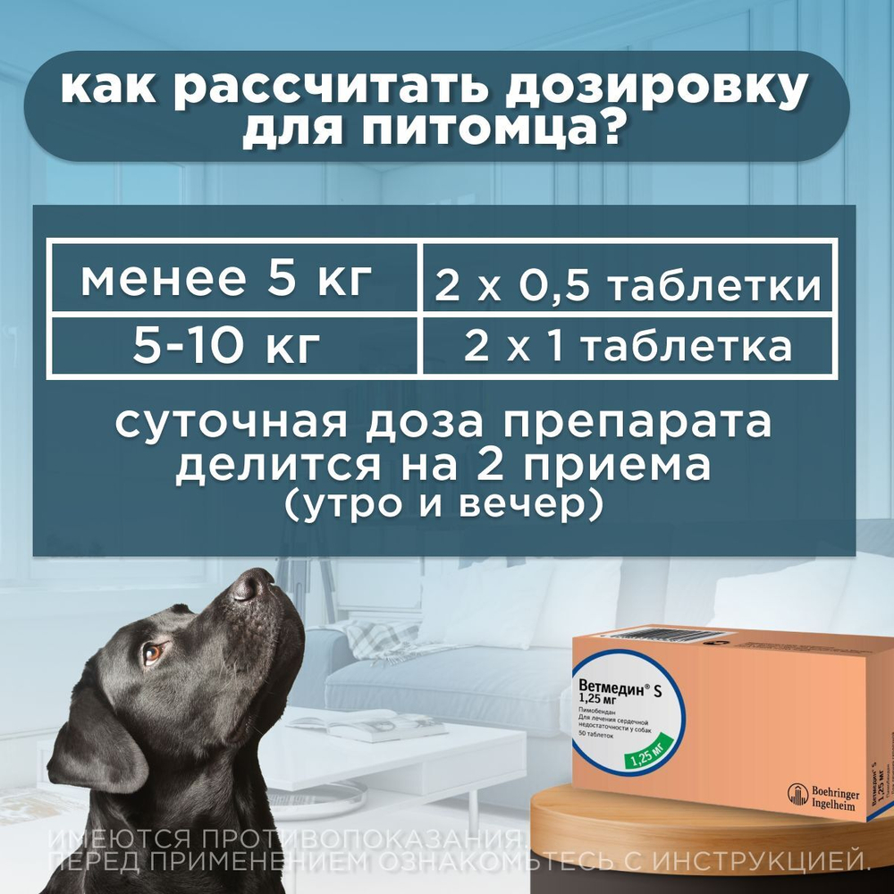 Таблетки от сердечной недостаточности у собак Ветмедин S 1,25мг Пимобендан, 2 упаковки по 50 таблеток