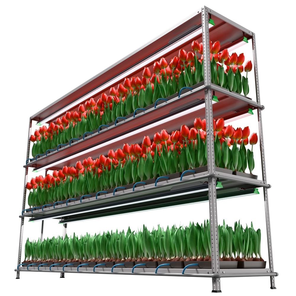 Светильник АгроСвет SEED (стеллажный) 50вт 100мкмоль FS-S-АGRО-50-20-XY-1000