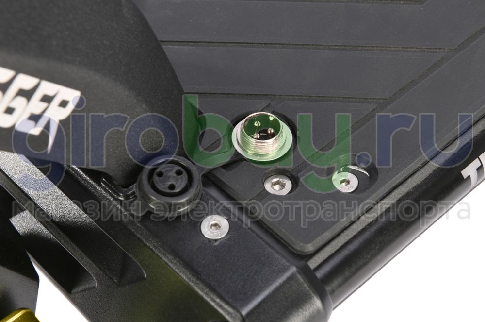 Электросамокат WHITE SIBERIA NERPA PRO 3600W Siberian Gold (золотой) фото 25 фото №30