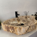 Раковина из окаменелого дерева FossilBasin OD-62435 81*49*15