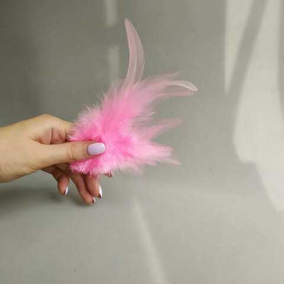 Перья петуха розовые 2 сорт 20 шт.