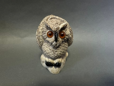 Совуха всклокотуха