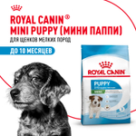 Royal Canin Mini Puppy Корм сухой для щенков мелких пород 800 г