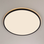 Потолочный светодиодный светильник Citilux NORMA CL748501